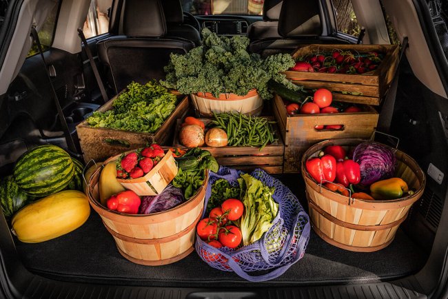 Exploring Grocery Delivery Services Near Me