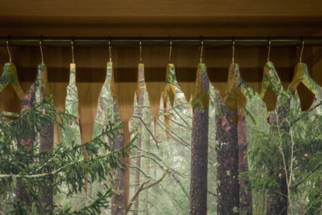 Fashion and Sustainability: A Green Revolution
