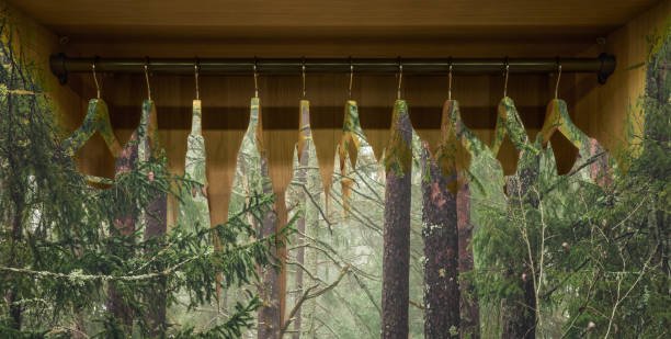 Fashion and Sustainability: A Green Revolution