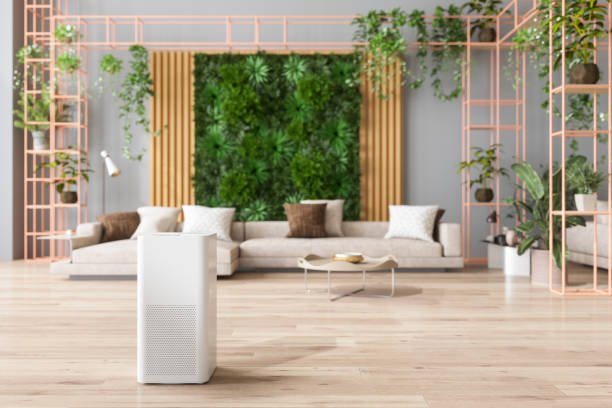 Breathe Easy: Top Tips for Enhancing Indoor Air Quality